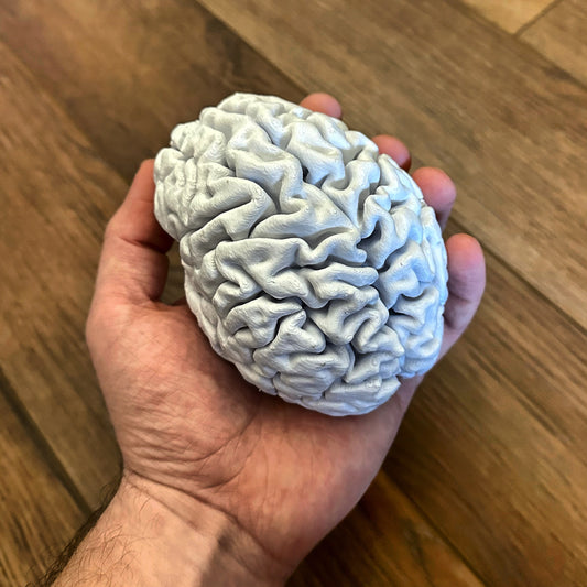 3D Printing Your Brain